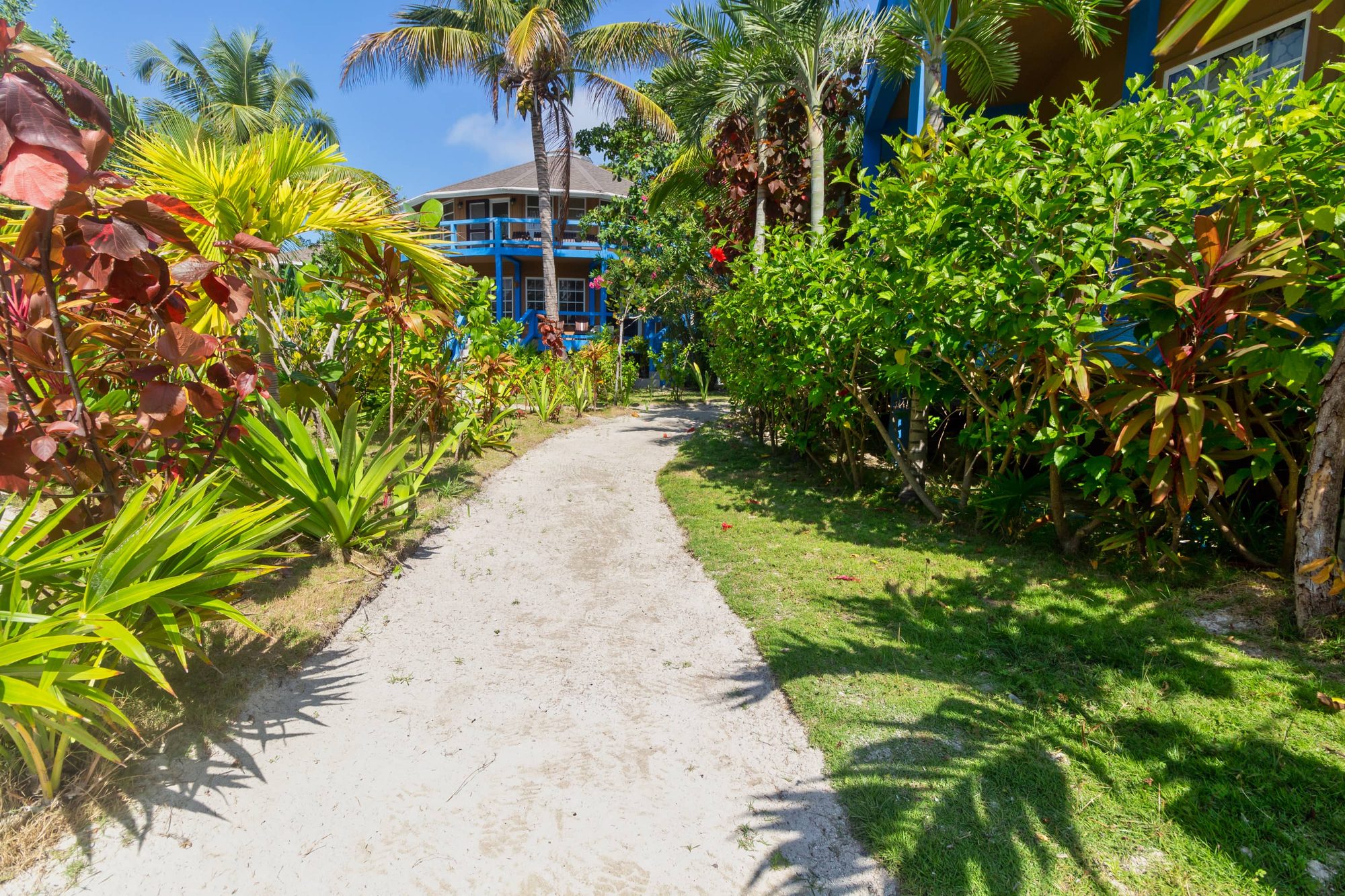 Palms and grounds at White Sands Cove